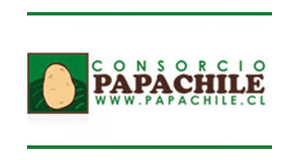 Consorcio Papa - Chile