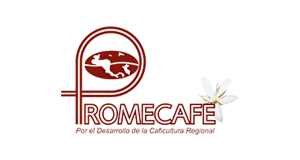 PROMECAFE - IICA - Guatemala