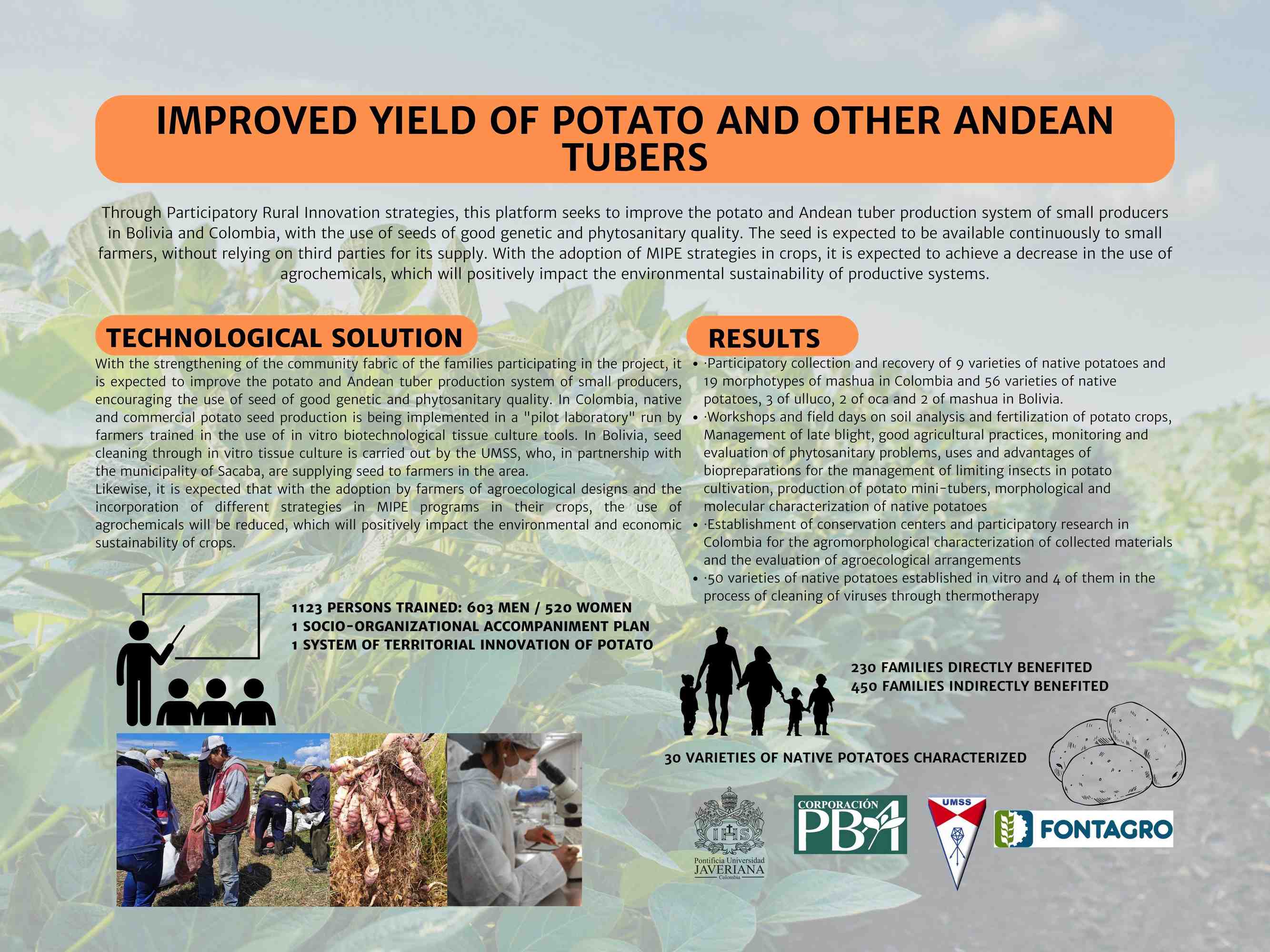 Root to Food: una propuesta para mejorar los sistemas productivos de productores de papas nativas y tubérculos andinos