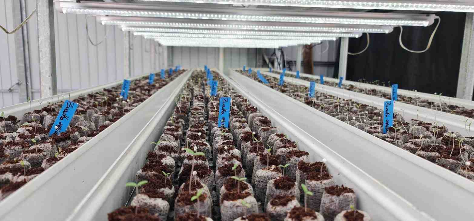 Vertical Agriculture was generated as an alternative to guarantee food security and sustainable food production, mainly in urban environments where space is limited.