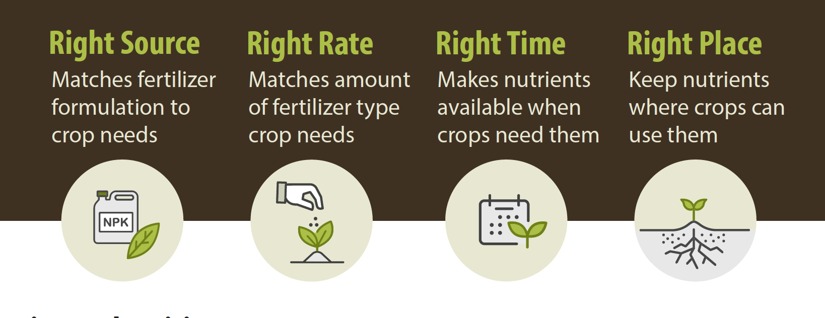 Buenas prácticas por uso de fertilizante nitrogenado, N4Rs