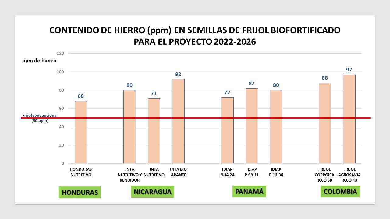 Contenido de hierro en semillas de frijoles biofortificados para ALC.