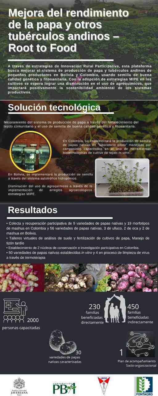 Root to Food: una propuesta para mejorar los sistemas productivos de productores de papas nativas y tubérculos andinos