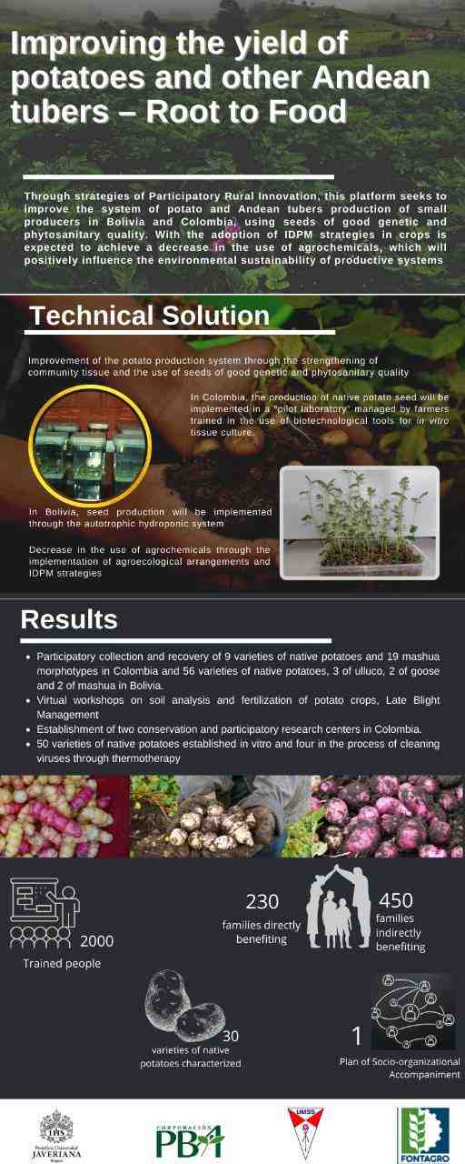 Root to Food: a proposal to improve the production systems of native potato and Andean tubers producers