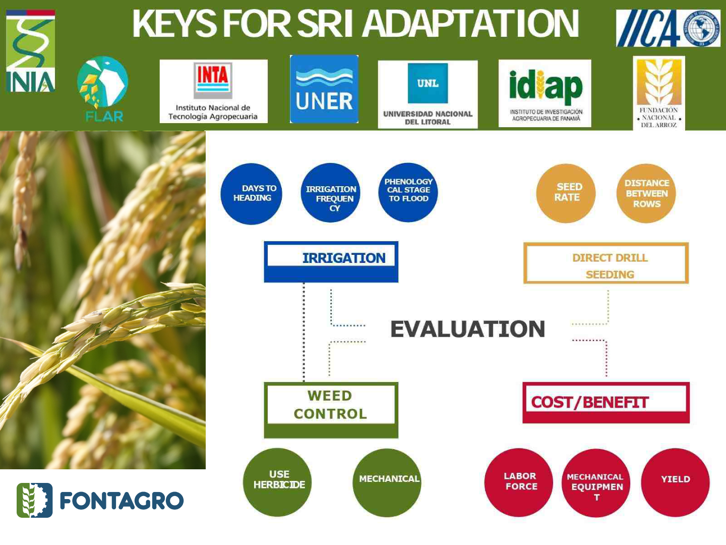 KEYS FOR SRI ADAPTATION