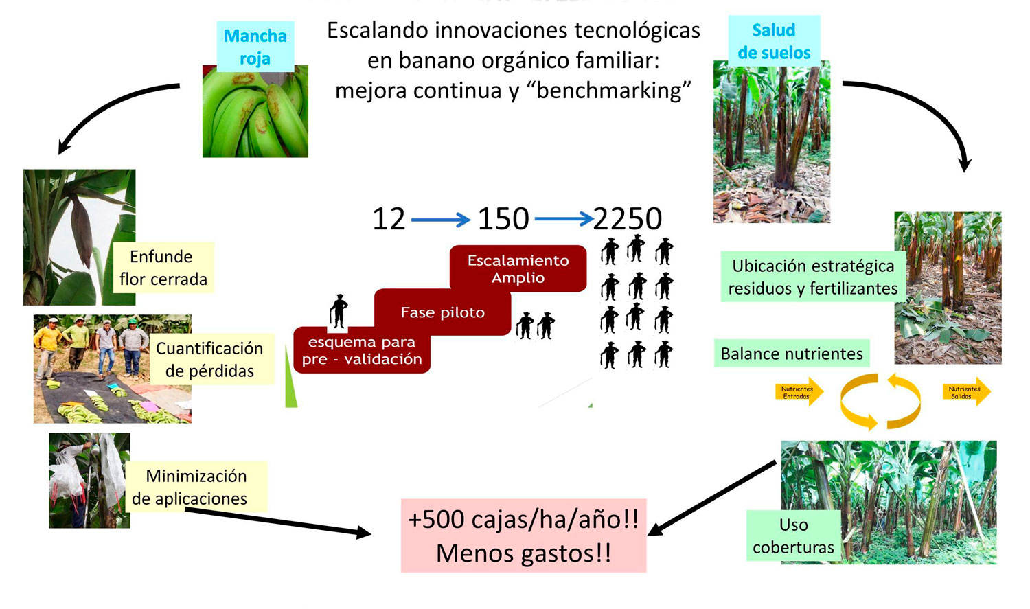 Facilitando el escalamiento de tecnologías ecológicas entre productores familiares con herramientas digitales